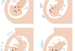 6月胎儿在肚子里的姿势是怎样的？感觉胎动位置也不固定的,胎儿头朝下胎动变化大吗