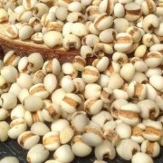 孕期哪些食物不能吃,备孕期能吃薏米吗?