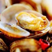 孕期可以吃花蛤吗