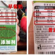 什么是脱脂奶精,糜蛋白酶对胎儿有影响吗