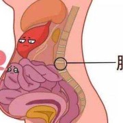 胎儿蠕动在干嘛（胎儿在肚子里连续抖动的是怎么回事啊？有些担心的）
