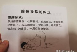 孕36周胎儿在子宫姿势是怎样的？快足月了，怎样产检合适呢,36周胎儿图片大全