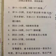 建档书上的颜色标志怎么分的,孕期的划分是什么
