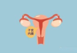 子宫壁薄对胎儿的影响（子宫壁薄对胎儿的影响大吗）