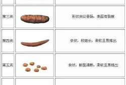 孕妇大便多正常吗,孕期大便多怎么回事儿