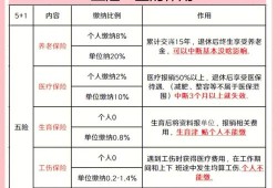 孕期还工作（交了五险一金怀孕了也要上班吗）