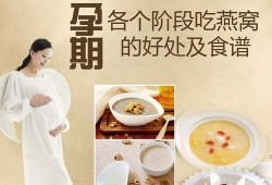 孕期喝燕窝（孕期喝燕窝对胎儿的好处）
