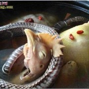 就是家里打的蛇，孕妇可以吃蛇吗,孕期吃蛇肉对胎儿有什么影响