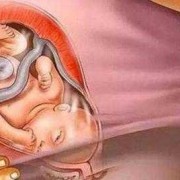 为什么说十月怀胎苦,孕期辛苦吗?