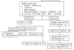 胎儿肺囊腺瘤（胎儿肺囊腺瘤是什么原因造成的）