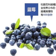 孕期吃蓝莓的好处（孕妇吃蓝莓对胎儿好吗？怀孕三个月了）