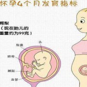 孕期子大小（孕期孩子大小）