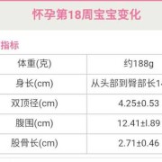 孕18周胎儿发育指标（怀孕16周胎儿应该多大）