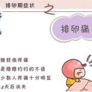 怀孕期会排卵吗（怀孕期会排卵吗会怀孕吗）