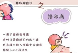 怀孕期会排卵吗（怀孕期会排卵吗会怀孕吗）