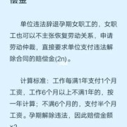 孕期被辞退（孕期被辞退可以申请哪些赔偿）