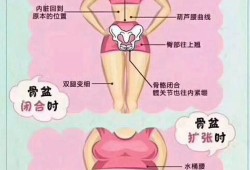 剖腹产需要做盆骨修复吗,孕期骨盆变化图片