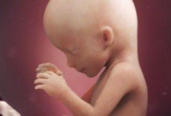 宝宝在肚子里几个月长头发,胎儿几个月有听力