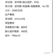 整个孕期检查费用（整个孕期检查费用清单）