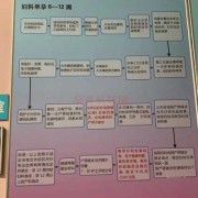 建档是什么意思啊,孕期建档需要哪些材料