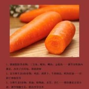 备孕期要吃什么（备孕期要吃什么食物）