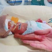 26周胎儿大概多少斤（28周胎儿大概多少斤）