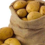 孕期血糖高能吃土豆吗（孕期血糖高能吃土豆吗?）