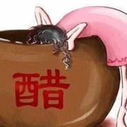 怀孕能吃醋吗,怀孕期间可以吃醋吗女性