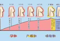 孕期胸下面疼怎么回事（孕期胸下面疼怎么回事儿）