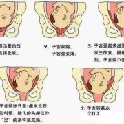 胎儿什么时候入盆（什么是入盆？胎儿什么时候入盆）
