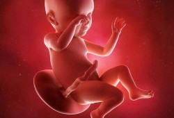 39周宝宝在肚子里的模样,孕39周胎儿图片欣赏