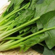 孕期不能吃菠菜吗（菠菜吃剩能过夜吗）