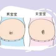 孕晚期为什么肚子中间凹进去了,孕期肚脐内凹是男孩还是女孩