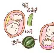 胎儿过月不生的因素（胎儿过月不生的因素有哪些）