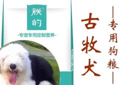 孕期狗粮（古牧犬怀孕吃什么食物好）