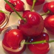 孕期能吃樱桃吗（有来苏水味的樱桃能吃吗）