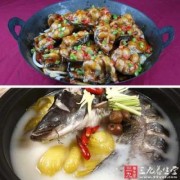 孕期补胎（孕妇能吃鲶鱼吗）