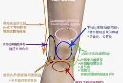 孕妇膝盖疼痛是怎么了？我现在疼的都没法走路了，好难受啊,孕期关节疼痛什么原因