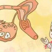 女性有可能同时怀上2个人的孩子吗,女人孕期还会排卵吗图片