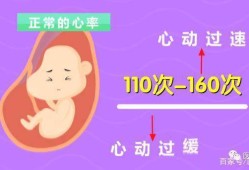 多久能听到胎儿心跳（一般怀孕了，多久才会感觉到胎心在跳动）