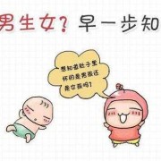 孕期反应早（孕期反应早是男孩女孩）