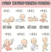 8月宝宝如何早教及发育指标,8月胎儿姿势图片