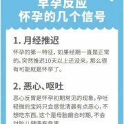 多久有孕期反应（怀孕多久有孕期反应）