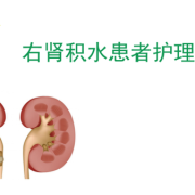 孕妇肾积水怎么办,孕期右肾积水怎么办