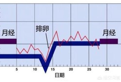 孕期还会排卵吗（孕期还会排卵吗?）