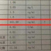 孕期铁蛋白高是什么原因,铁蛋白孕期正常值是多少