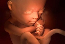 胎儿7个月发育情况（胎儿7个月发育情况图片）
