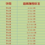 36周胎儿腹围标准值（36周胎儿腹围标准值是多少）