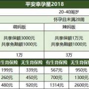 怀孕应该上什么医保,怀孕期间买什么保险可以报销