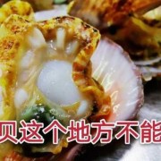 孕期能吃扇贝吗（孕期能吃扇贝吗好大夫在线）
